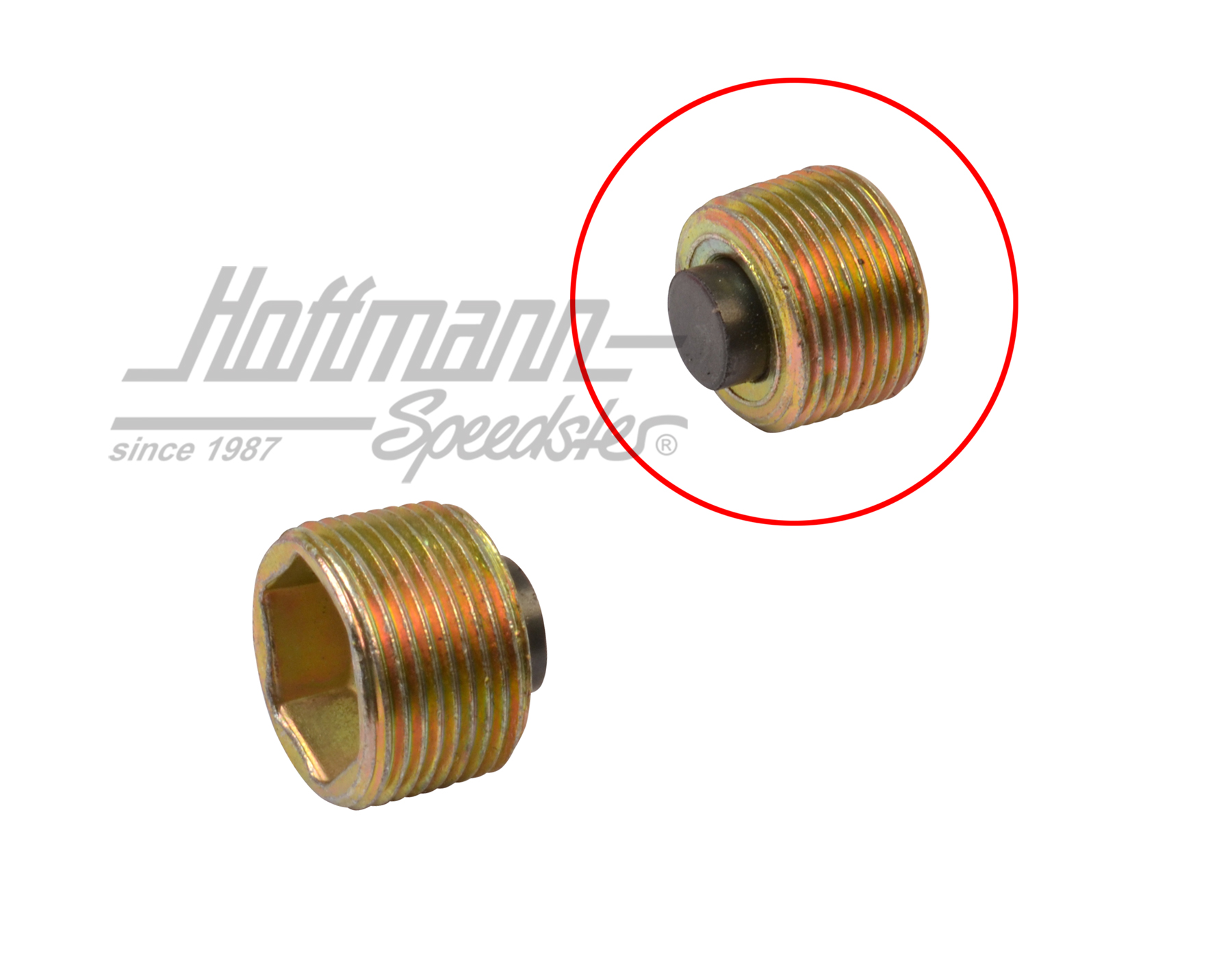 Tornillo de purga del aceite de caja de cambios, magnético | 113 301 141 B | 010-2109