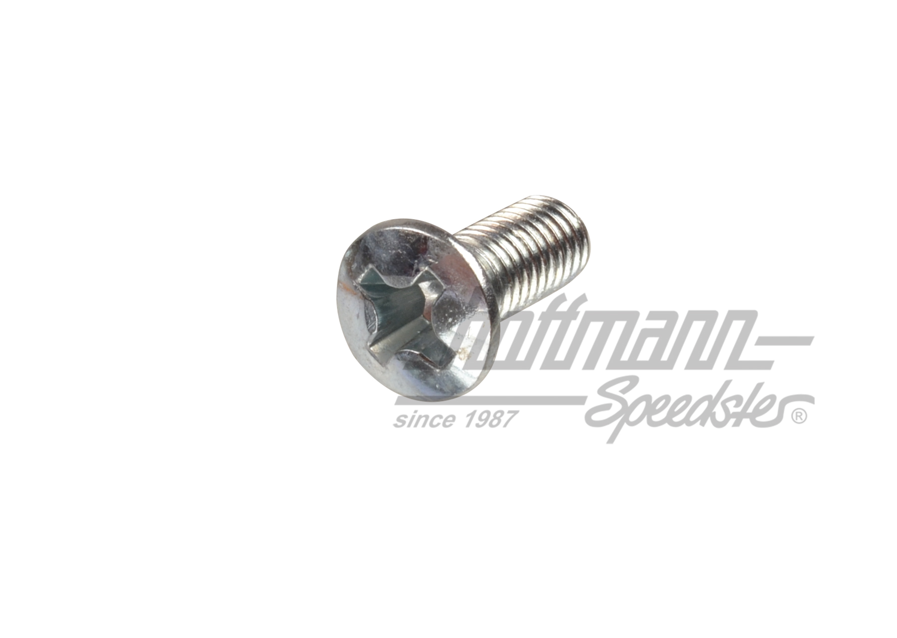 Tornillo, placa de cierre / bisagra | 211 831 701 B | 089-5045