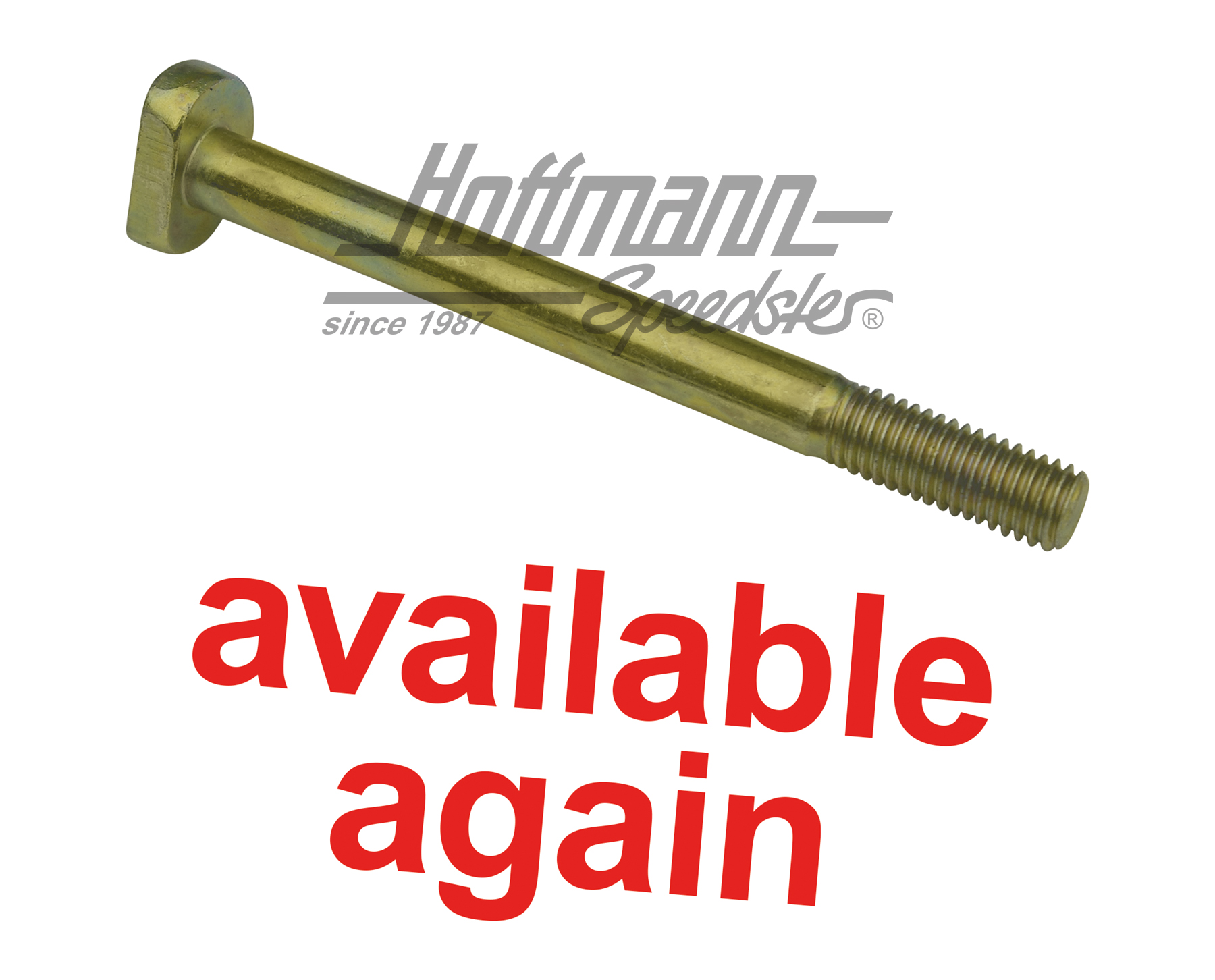 Tornillo de cabeza de martillo, sujeción de motor, M10 x 110 | 111 199 101 | 010-0993