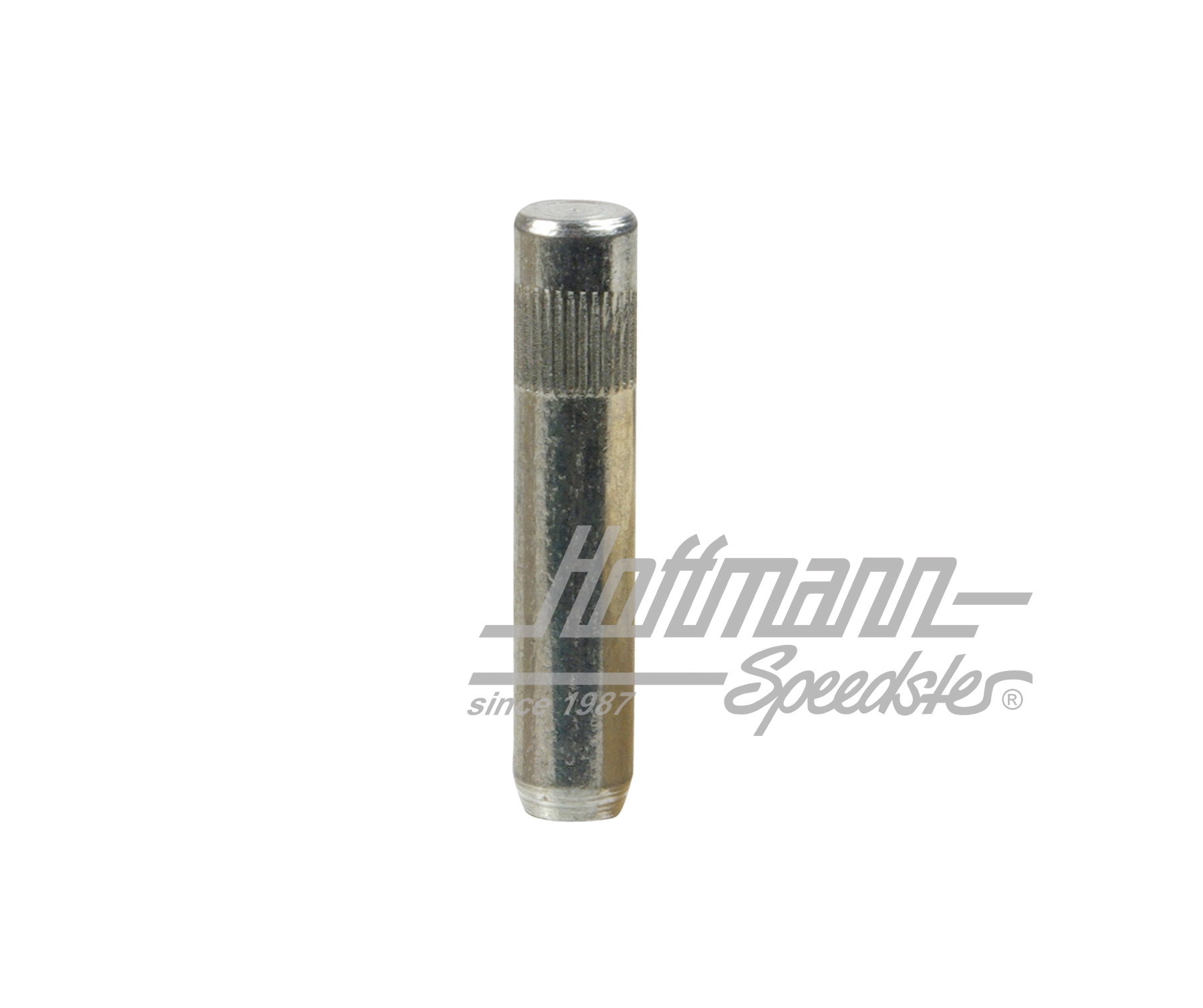 Perno de bisagra de puerta (de serie), Golf 1 / 2 | 321 831 421 | 180-1042-08