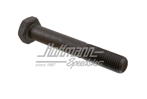 Tornillo, amortiguador, trasero                                                                     