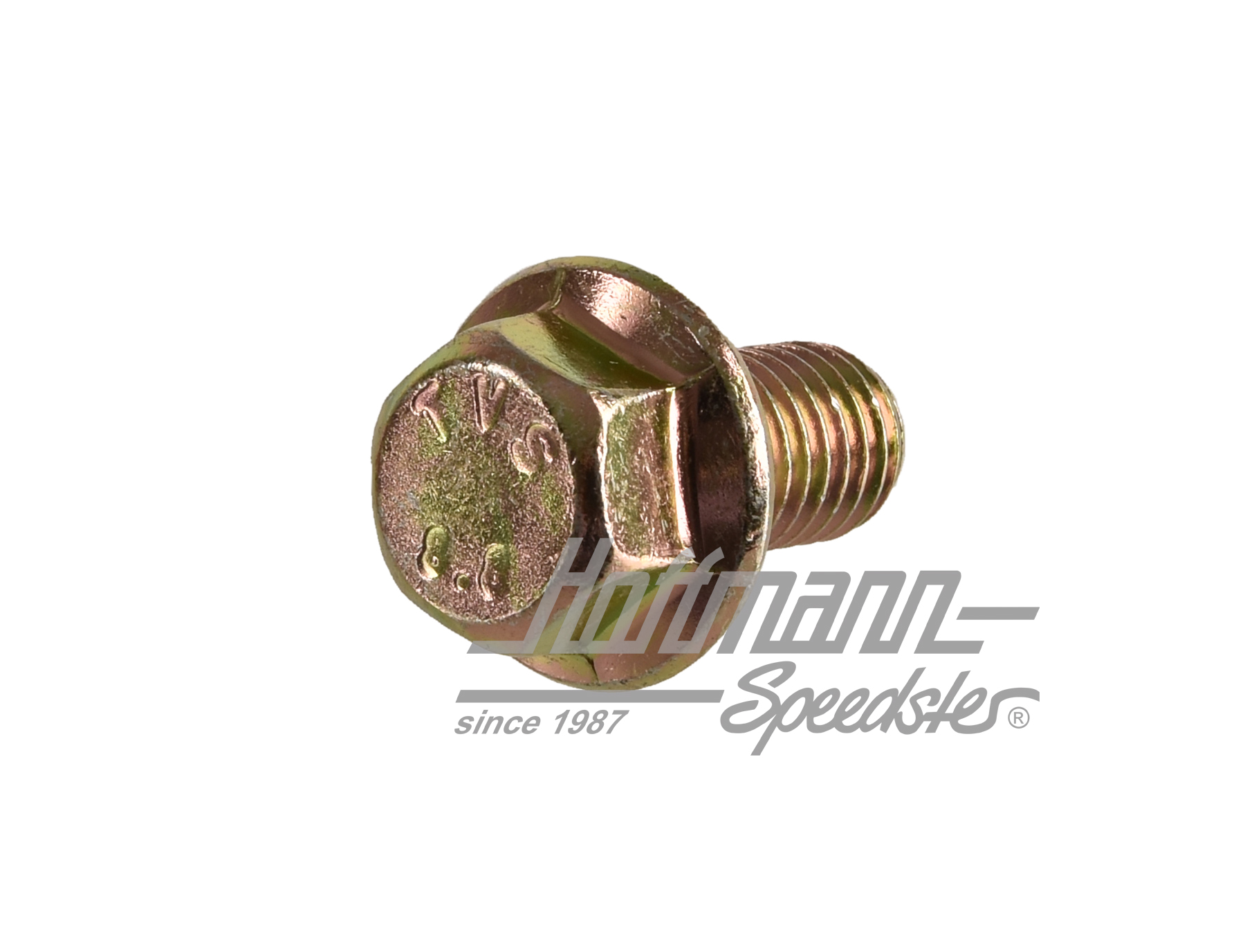 Tornillo, bisagra de puerta, Golf 2 | N  903 079 01 | 208-1054-10
