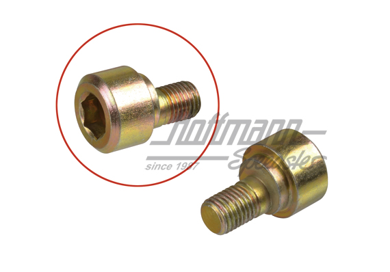 Tornillo excéntrico,
 eje posterior, 65-73                                                         