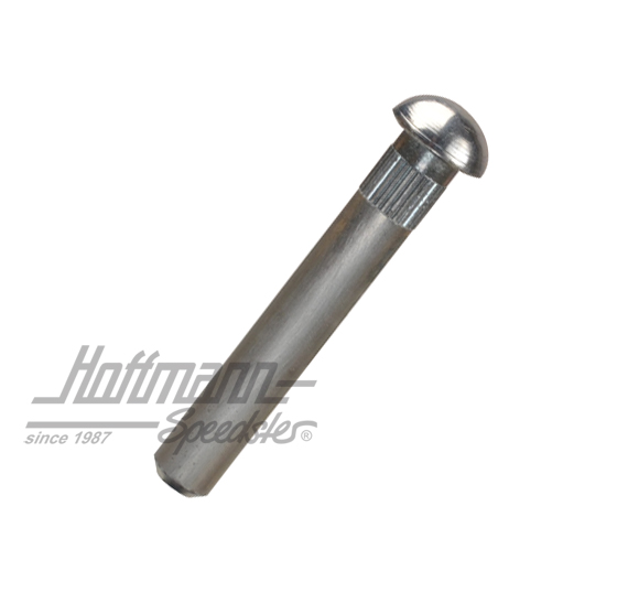 Perno de bisagra de puerta, ø8 mm (de serie)                                                        