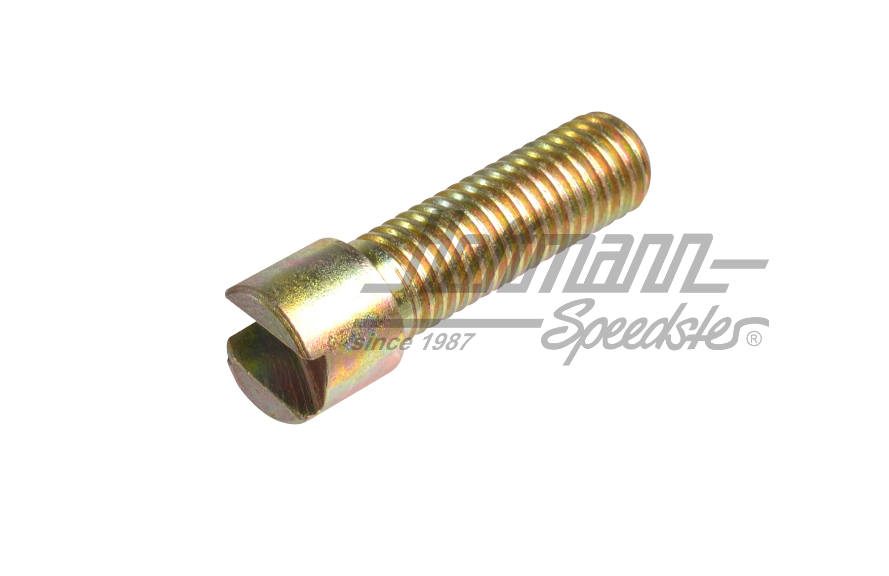 Tornillo de ajuste, Tipo 3, posterior, 65-73 | 311 609 209 A | 069-6030