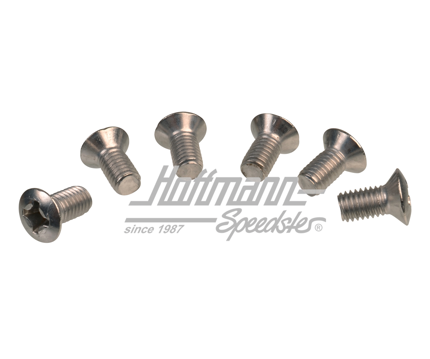 Tornillos, bisagra de puerta (juego) | N  100 847 01 | 020-2440-10