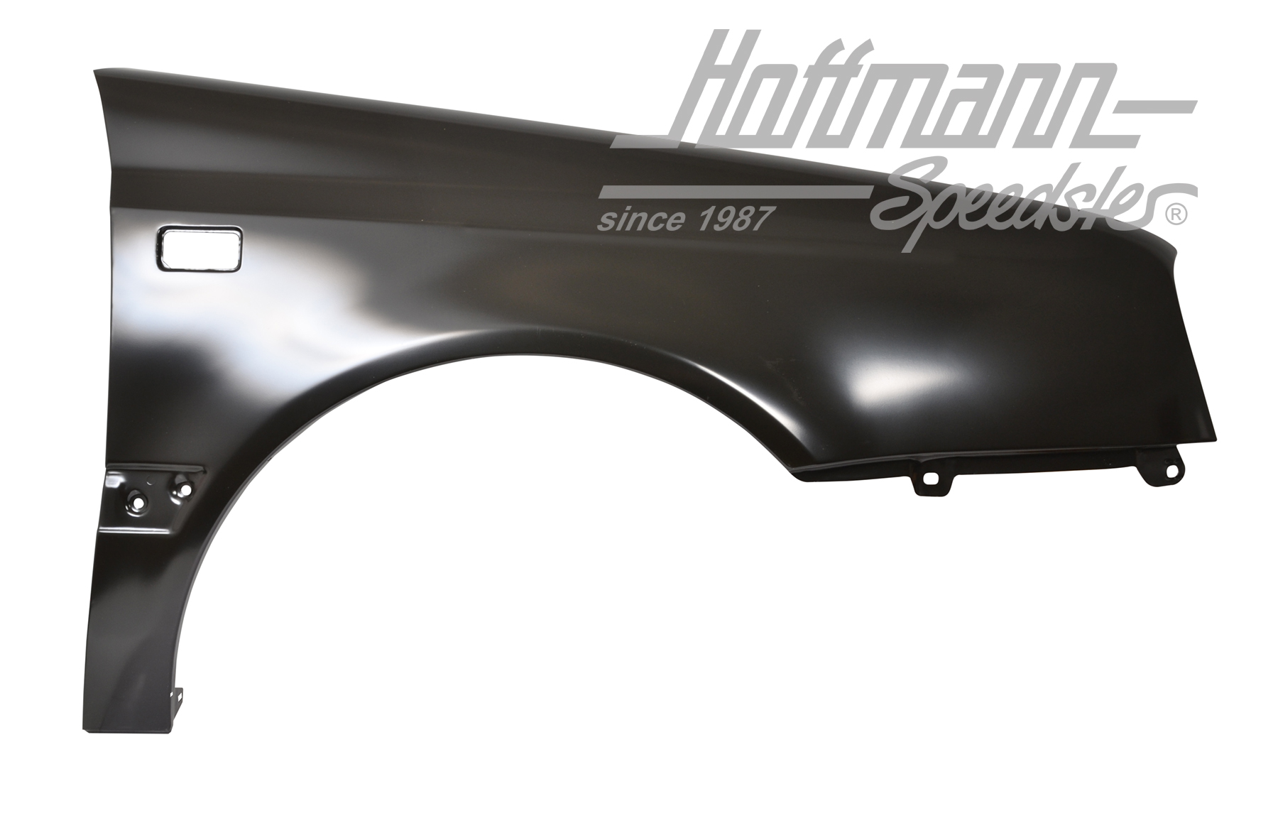 Guardabarros, Golf 3 Cabrio
let, dcha., Calidad Superior | 1E0 821 022 | 218-8300-02