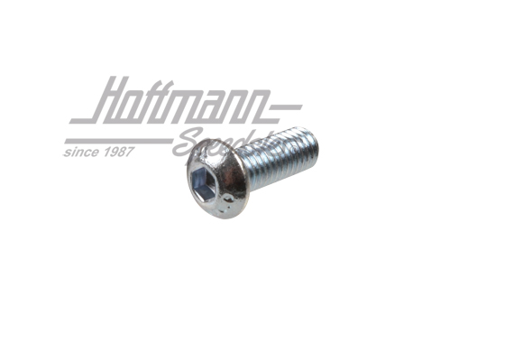 Tornillo, disco de freno / dispositivo antirrobo                                                    