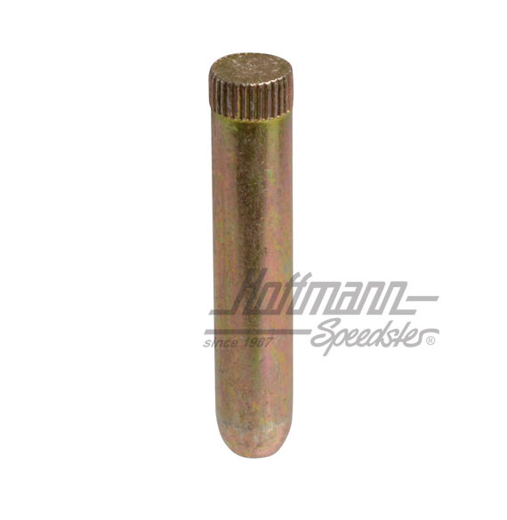 Perno de bisagra de puerta, ø8mm, Furgoneta T2, 75-79 | 211 831 421 C | 097-1008-30