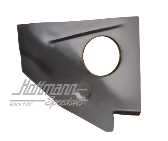 Chapa de guardaruedas, posterior, izquierda                                                         