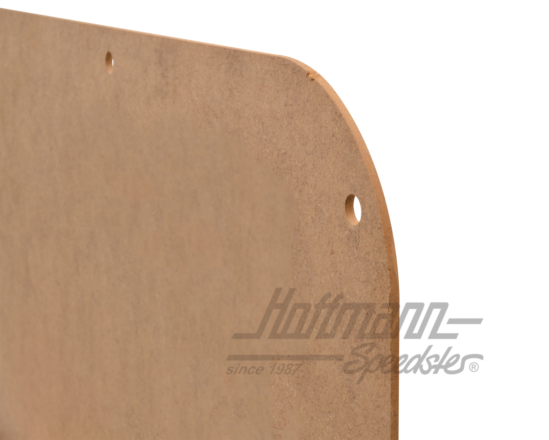 Panel de portón trasero, desnudo, 5.79-7.92                                                         