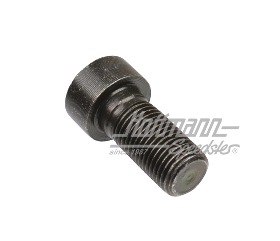 Tornillo, volante de impulsión motor,  M12x1,25x25.5mm                                              