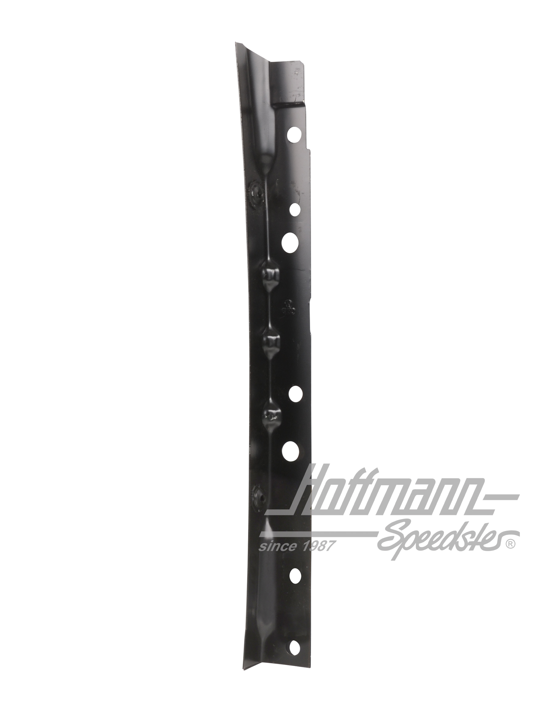 Placa web, guardabarros, anterior, TDI, dcha. | 701 821 100 | 408-8039-42