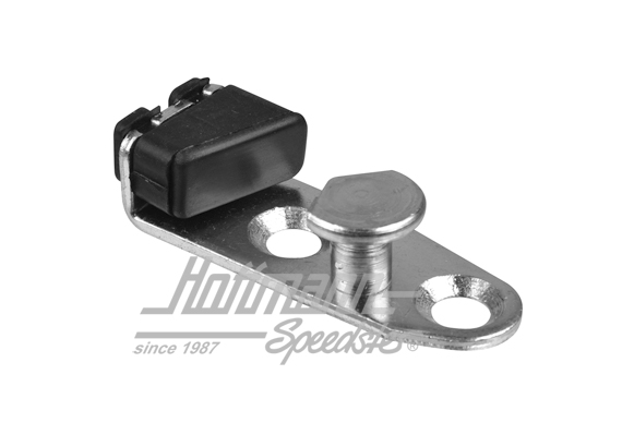 Placa de cierre, portón trasero, Furgoneta T2 | 155 829 221 | 097-1053-04