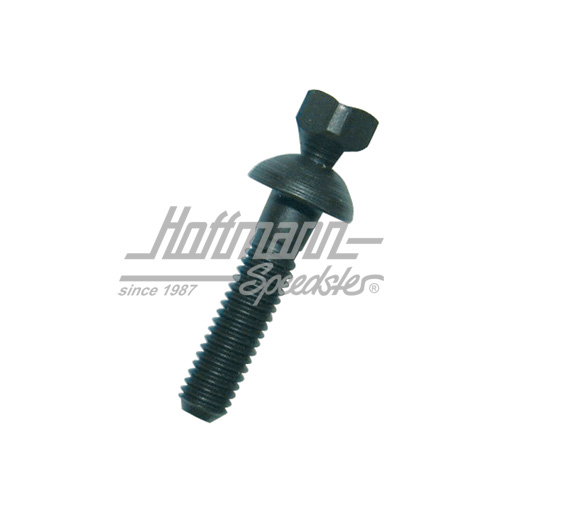 Pernos de cizallamiento, dispositivo antirrobo, 36/30 mm | 111 905 881 | 020-2425-06
