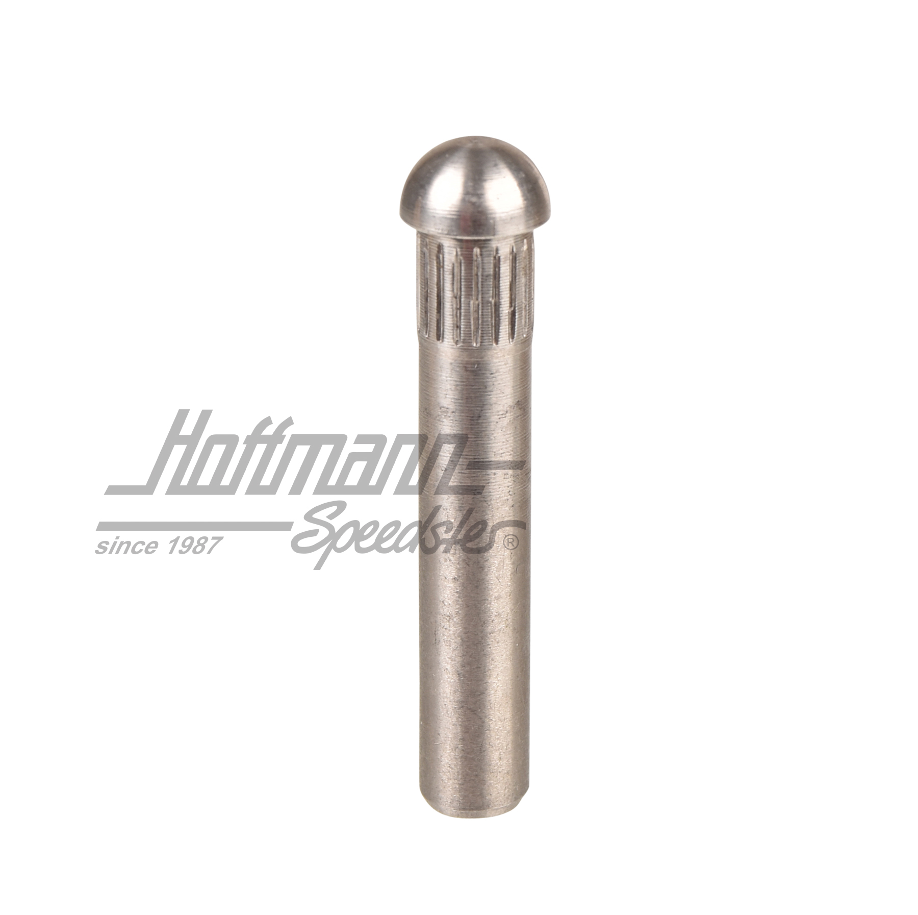 Perno de bisagra de puerta, ø9mm (sobremedida 4.) | 211 831 421 | 089-5040-13