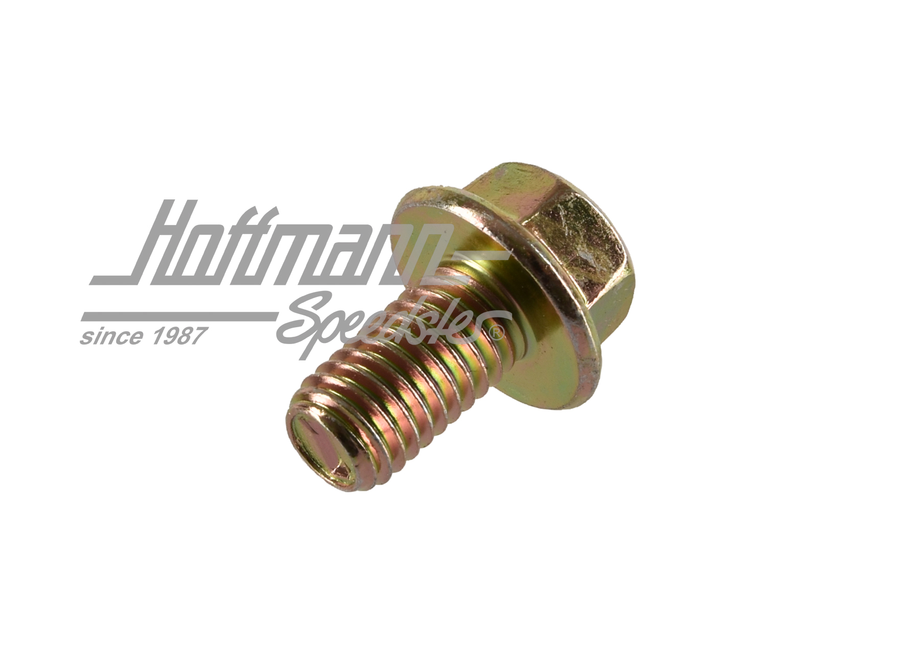 Tornillo, bisagra de puerta, Golf 2                                                                 