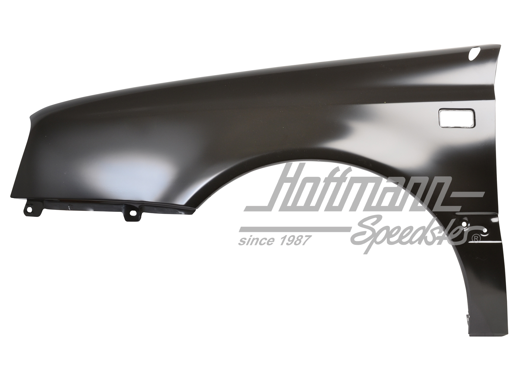 Guardabarros, Golf 3 Cabrio
let, izqda., Calidad Superior | 1E0 821 021 | 218-8300-01