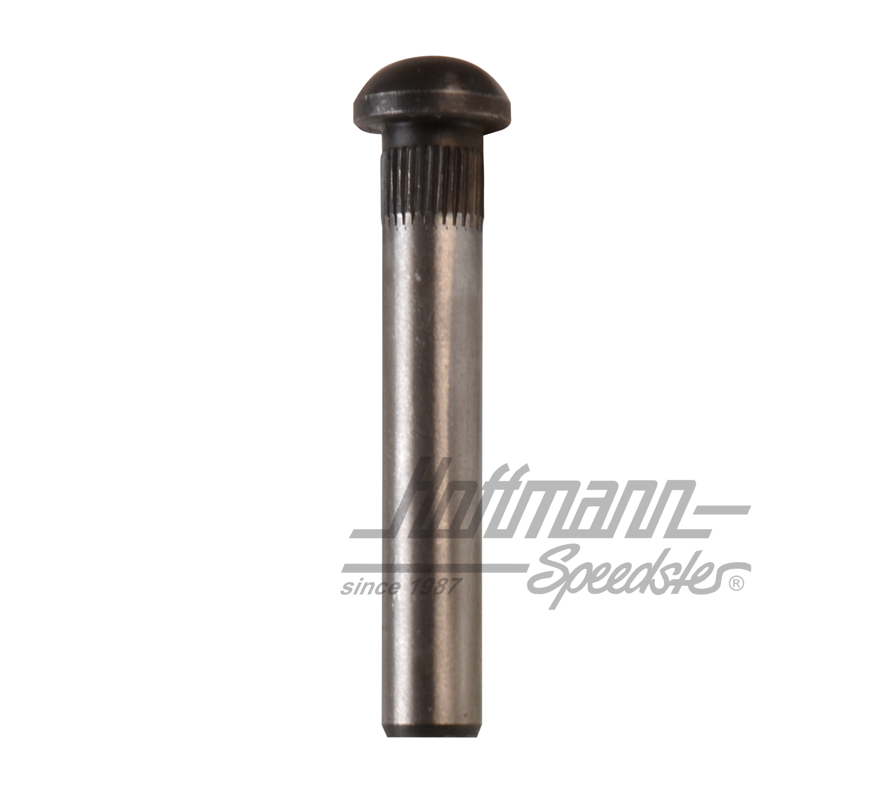 Perno de bisagra de puerta, ø8 mm (de serie) | 211 831 421 | 089-5040-07