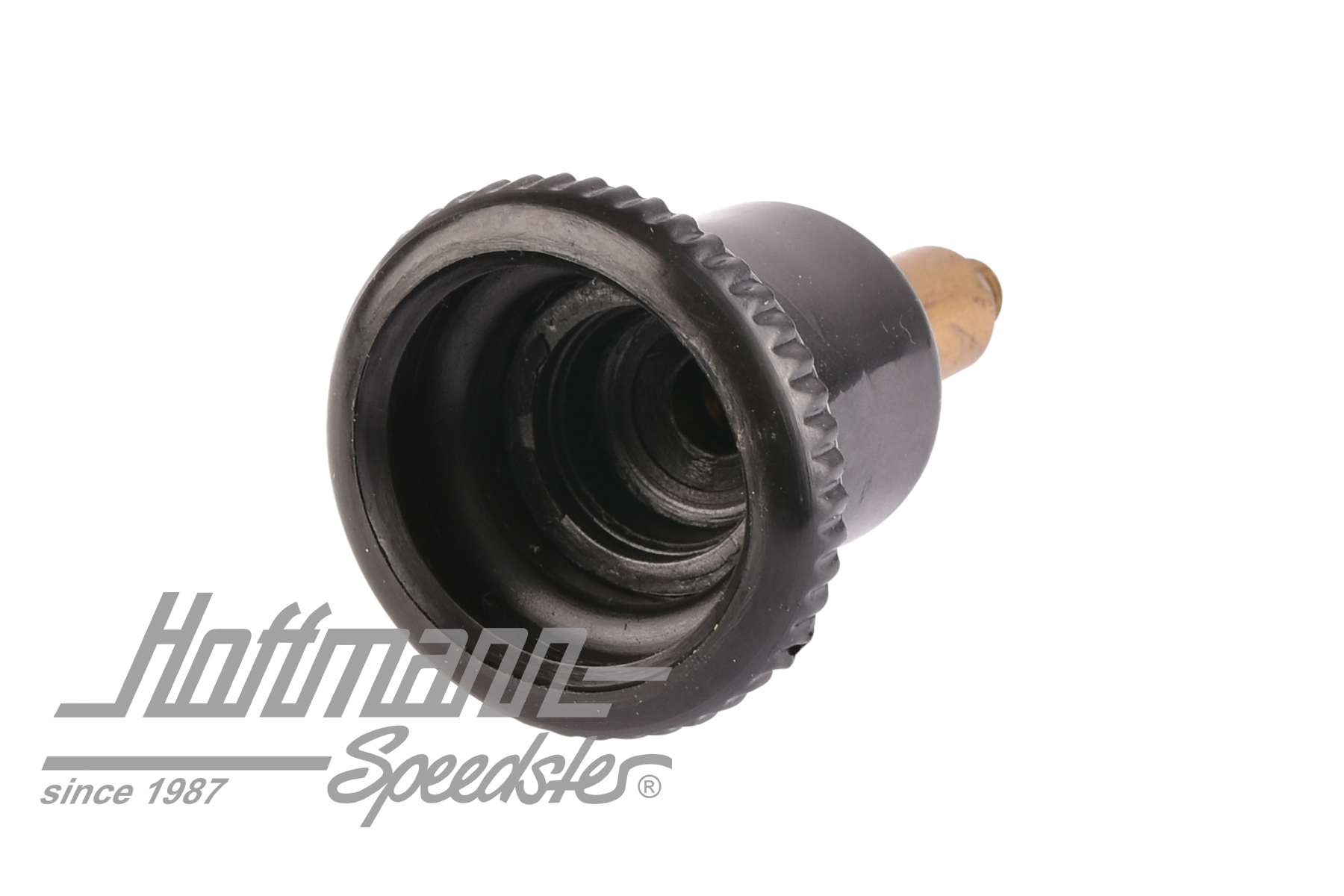 Botón, interruptor de intermitente de emergencia, sin inserto símbolo | 113 953 245 | 020-2430-16