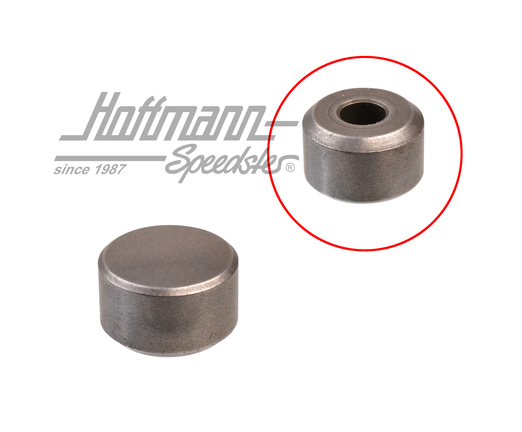 Rodillo, guía de rodillos, inferior / superior | 251 843 423 B | 360-4015-50