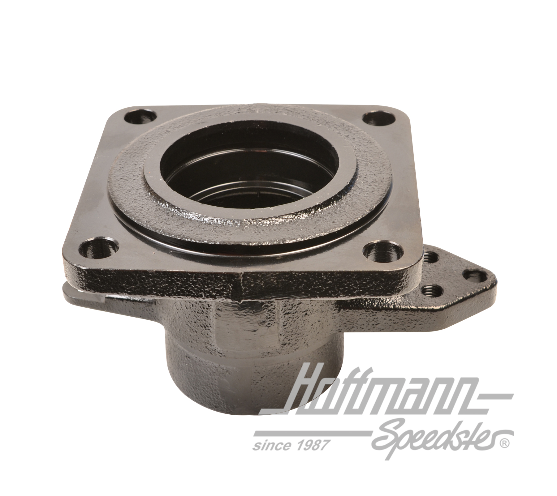 Cárter de cojinete de rueda, posterior, Furgoneta T3, izqda./dcha.                                  